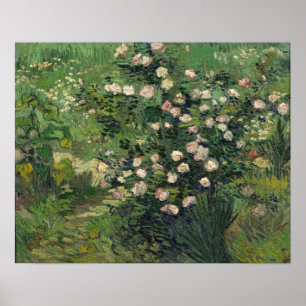 Van Gogh - Roses Poster