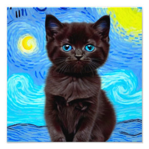 Van Gogh Starry Night Black Cat Photo Print