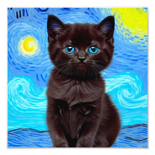 Van Gogh Starry Night Black Cat Photo Print (Front)