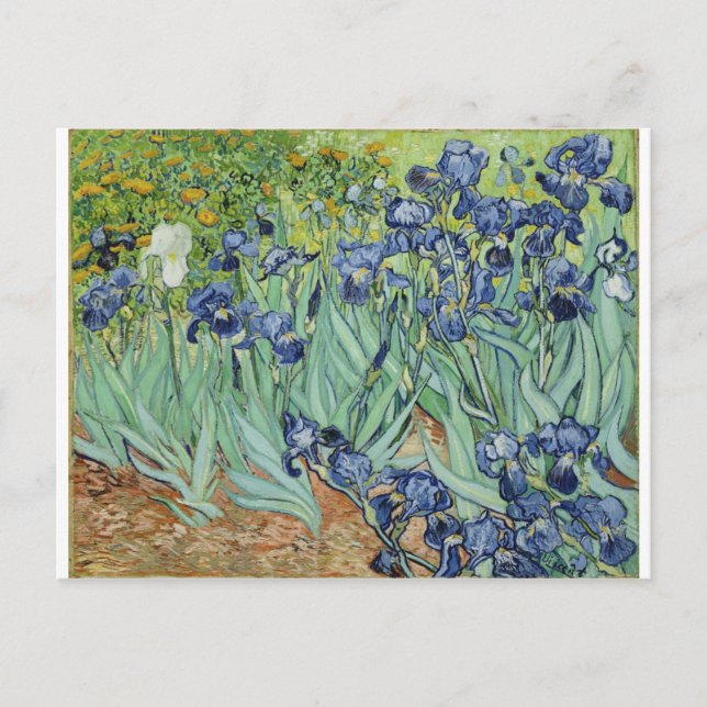 Van Gogh Still Life: Vase with Irises Postcard (Front)