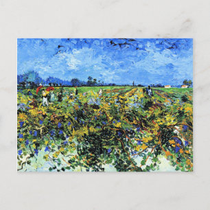 Van Gogh - The Green Vineyard, 1888, Arles Postcard