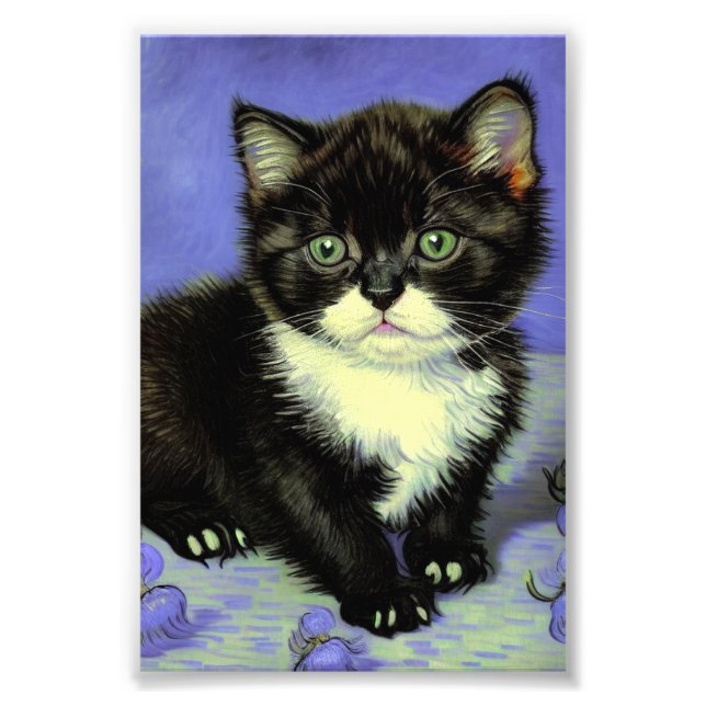 Van Gogh Tuxedo Kitten Photo Print (Front)