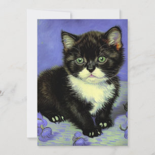 Van Gogh Tuxedo Kitten Save The Date