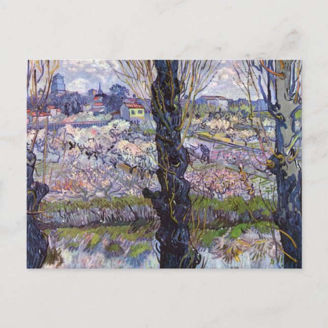 Van Gogh View Arles Flowering Garden Postcard (Front)