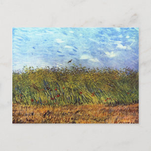 Van Gogh: Wheat Field with Poppies and Lark Postcard