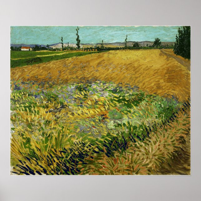 Van Gogh - Wheatfield Poster (Front)
