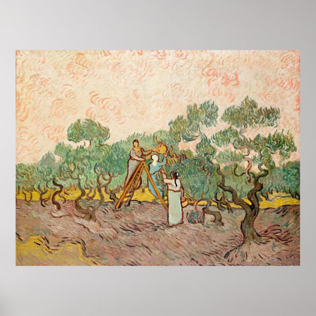 Van Gogh - Women Picking Olives, Poster (Front)