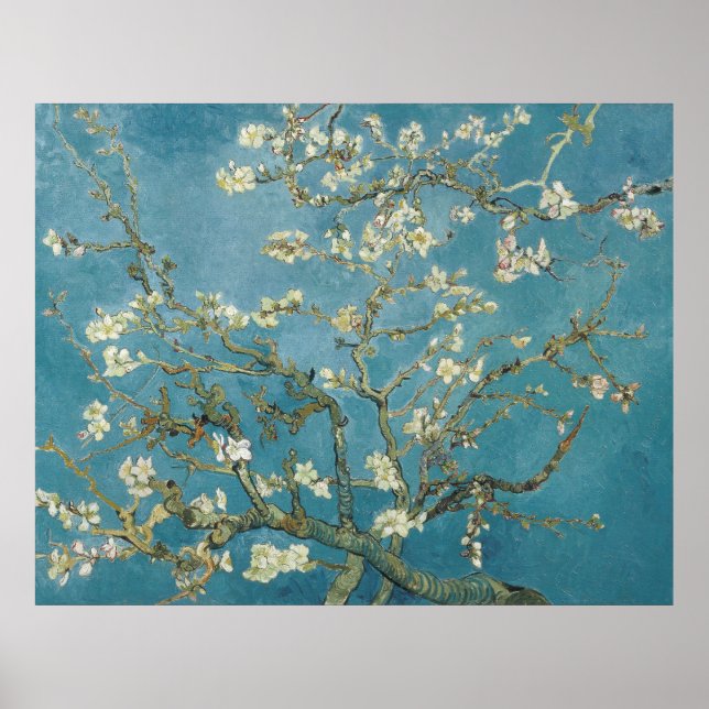 Van Gogh's Almond Blossom Poster (Front)