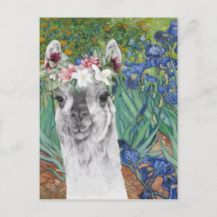 Van Gogh's Irises and Fancy Llama Postcard