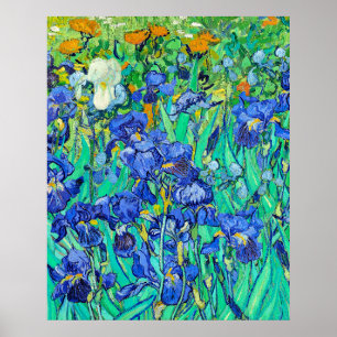 Van Gogh's Irises Poster
