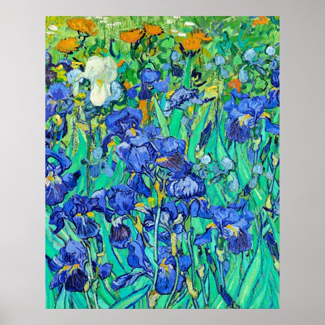 Van Gogh's Irises  Poster (Front)