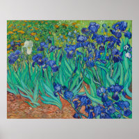 Van Gogh's Irises