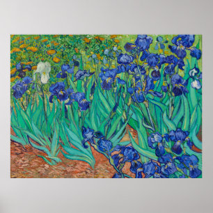 Van Gogh's Irises Poster