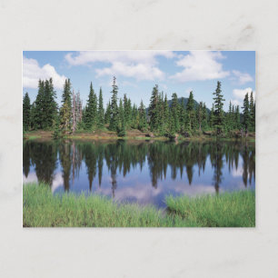 Vancouver Island, Strathcona Provincial Park 2 Postcard