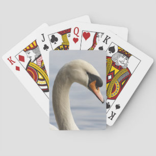 Vancouver, Stanley Park, Mute Swan (Cygnus olor) 2 Playing Cards