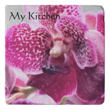 Vanda Orchid Red Flowers