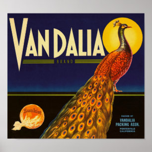 Vandalia Brand Oranges Porterville California Poster