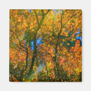 VanDusen Botanical Garden Vancouver, Canada Magnet