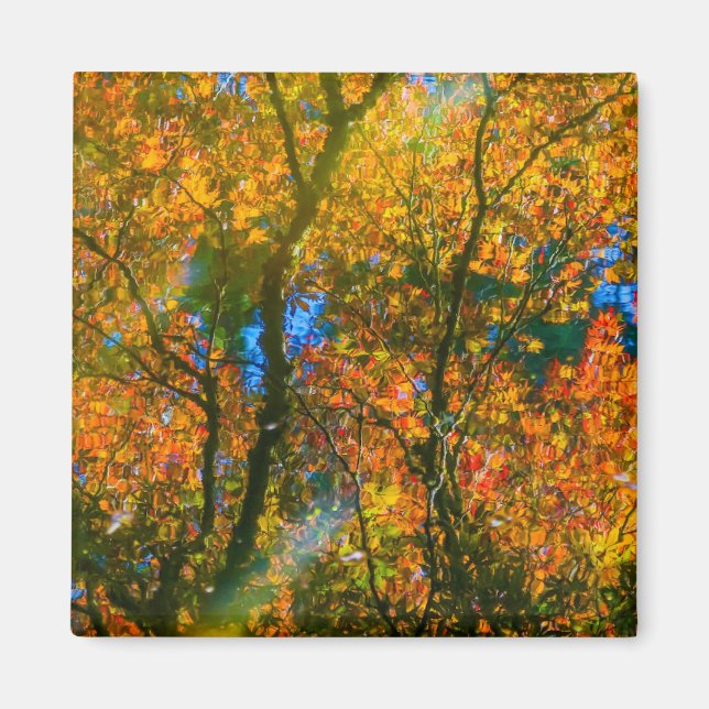 VanDusen Botanical Garden Vancouver, Canada Magnet (Front)