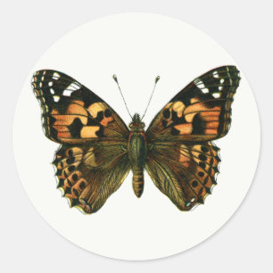 Vanessa cardui - The Painted Lady Butterfly Keycha Classic Round Sticker