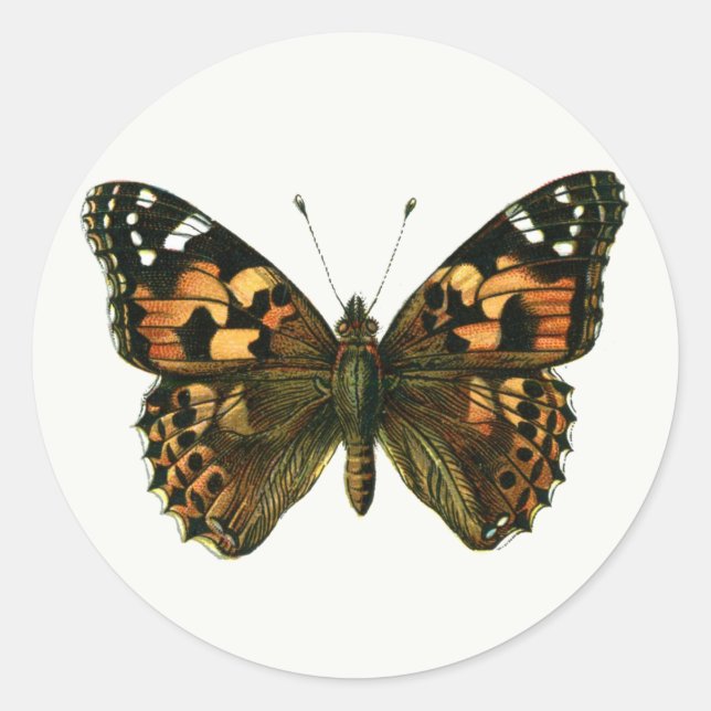 Vanessa cardui - The Painted Lady Butterfly Keycha Classic Round Sticker (Front)