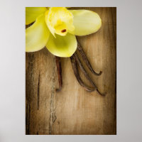 Vanilla Pods and Flower over Wooden Background