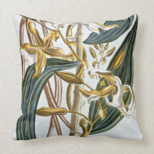 Vanilla pods, plate 65, from 'Collection Precieuse Cushion