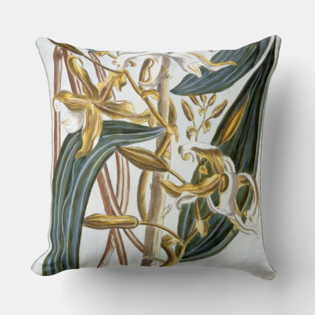 Vanilla pods, plate 65, from 'Collection Precieuse Cushion (Front)