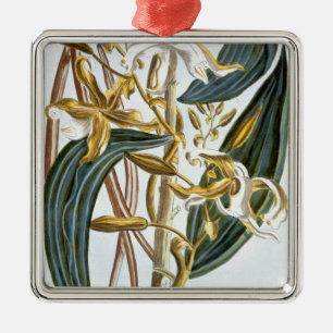 Vanilla pods, plate 65, from 'Collection Precieuse Metal Tree Decoration