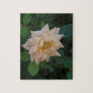 Vanilla Rose Jigsaw Puzzle