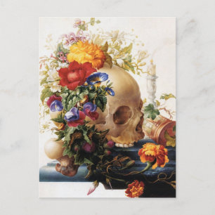 Vanitas - The Skull Postcard