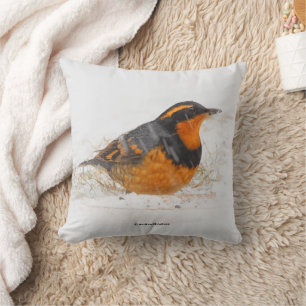 Varied Thrush Songbird on Snowy Winter Day Cushion