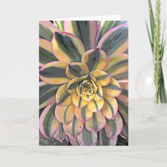 Variegated Aeonium Card (Front)