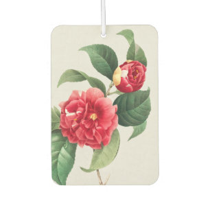 Variegated Camellia, Pierre-Joseph Redouté, 1833 Car Air Freshener