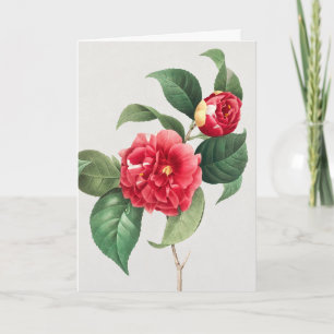 Variegated Camellia, Pierre-Joseph Redouté, 1833 Card