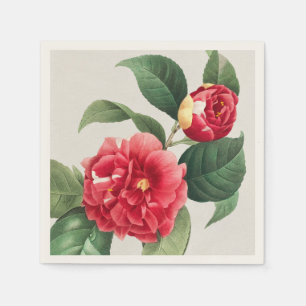 Variegated Camellia, Pierre-Joseph Redouté, 1833 Napkin