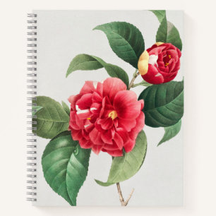 Variegated Camellia, Pierre-Joseph Redouté, 1833 Notebook