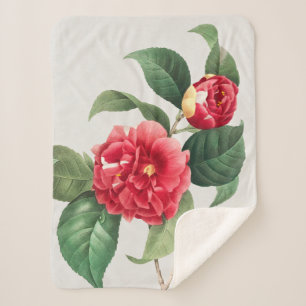 Variegated Camellia, Pierre-Joseph Redouté, 1833 Sherpa Blanket