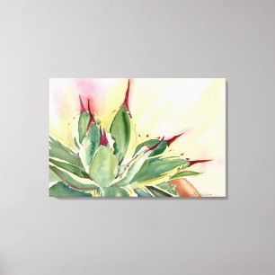 Variegated dwarf agave canvas print
