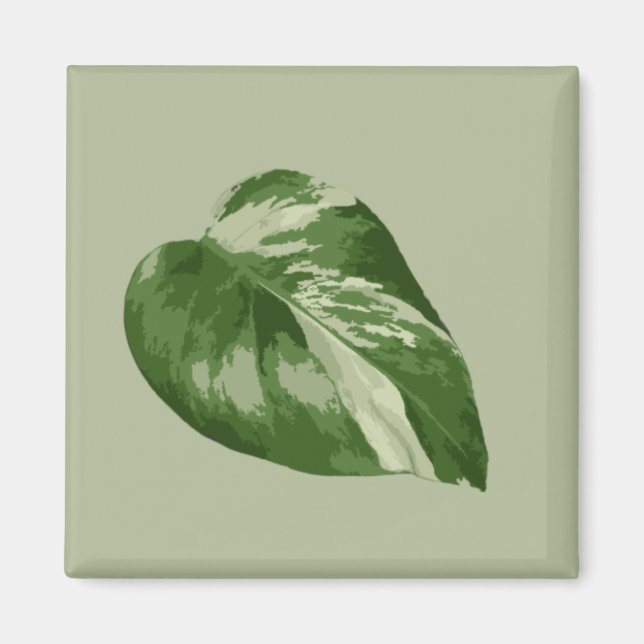 Variegated Monstera Albo Magnet (Front)