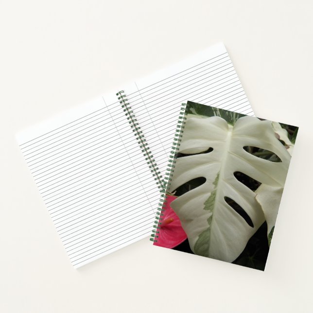 Variegated Monstera Leaf Botanical Notebook (Inside)