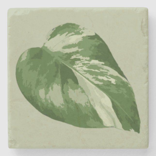 Variegated Monstera Leaf – Real Plant Art Stone Coaster (Front)