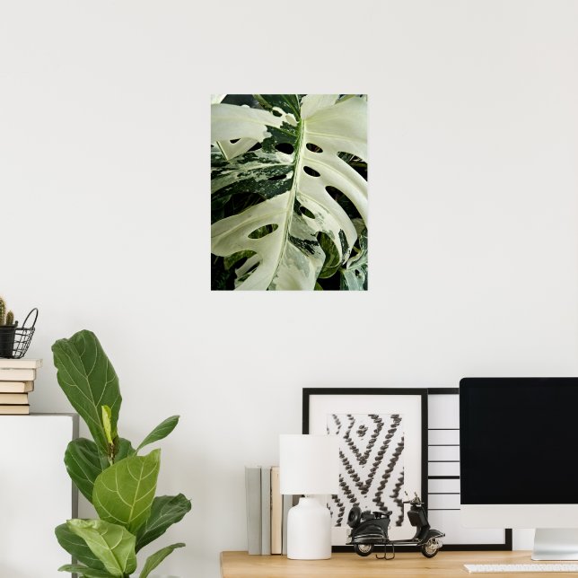 Variegated Monstera Plant Botanical Poster (Home Office)