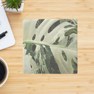 Variegated Monstera Plant Botanical Stone Coaster