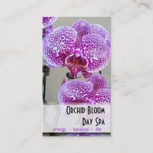 Variegated Purple Orchid Photo Appointment