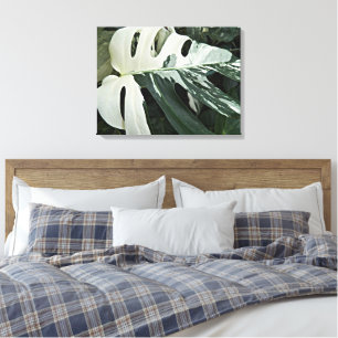 Variegated Swiss Cheese Plant Botanical Canvas Print