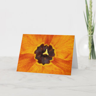 Variegated Tulip Note Card