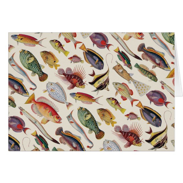 Varieties of Fish (Front Horizontal)