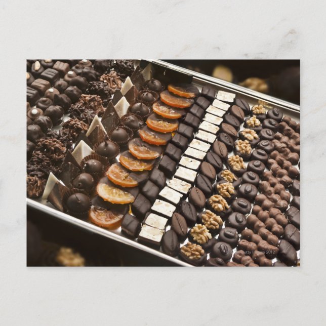 Variety of Artisanal Chocolate Pralines Postcard (Front)