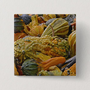 Variety of squash 15 cm square badge
